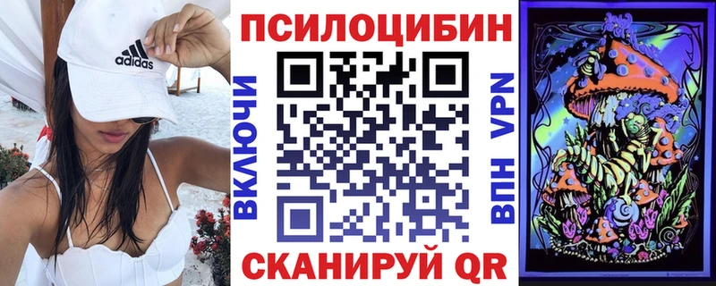 Купить закладки  Динская  Псилоцибиновые грибы мухоморы 