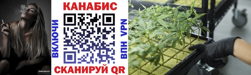 Конопля Amnesia  Купить закладки  Динская 